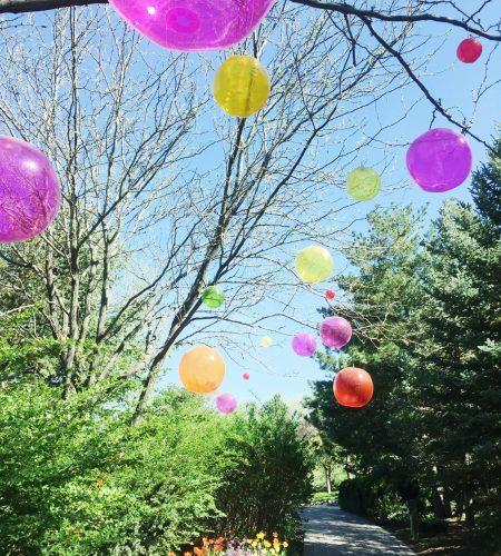 Vibrant balloons float above a garden path in a sunny park, creating a festive summer scene.